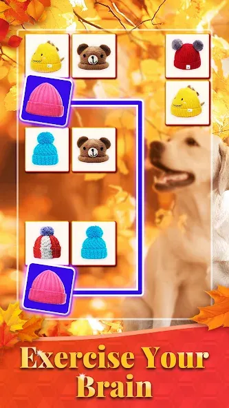 Скачать взлом Onet 3D - Tile Matching Game [MOD: безлимитные подсказки и ходы] — скриншот 3
