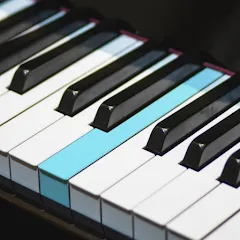 Скачать взлом Real Piano electronic keyboard [MOD: реалистичное пианино без ограничений]