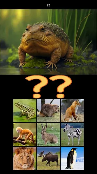 Взломанная Hybrid Animals Crazy Lab Quiz [MOD: открыты все гибриды и подсказки] на Андроид — скриншот 4