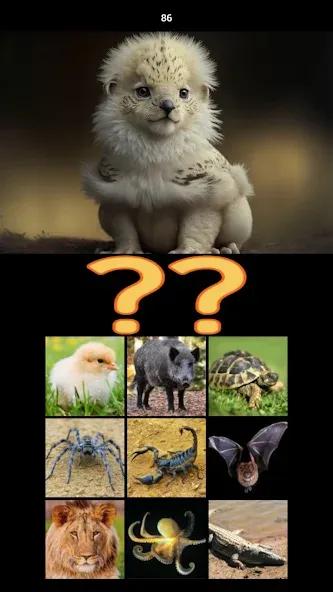 Взломанная Hybrid Animals Crazy Lab Quiz [MOD: открыты все гибриды и подсказки] на Андроид — скриншот 5