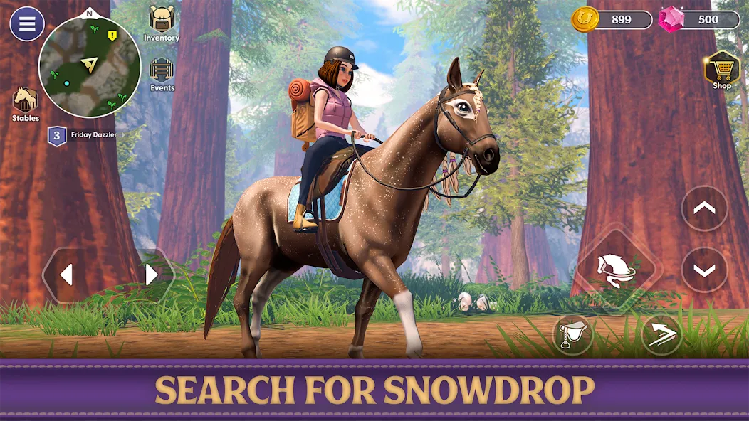 Скачать взлом Star Equestrian - Horse Ranch [MOD: безлимитные монеты и ресурсов] — скриншот 3