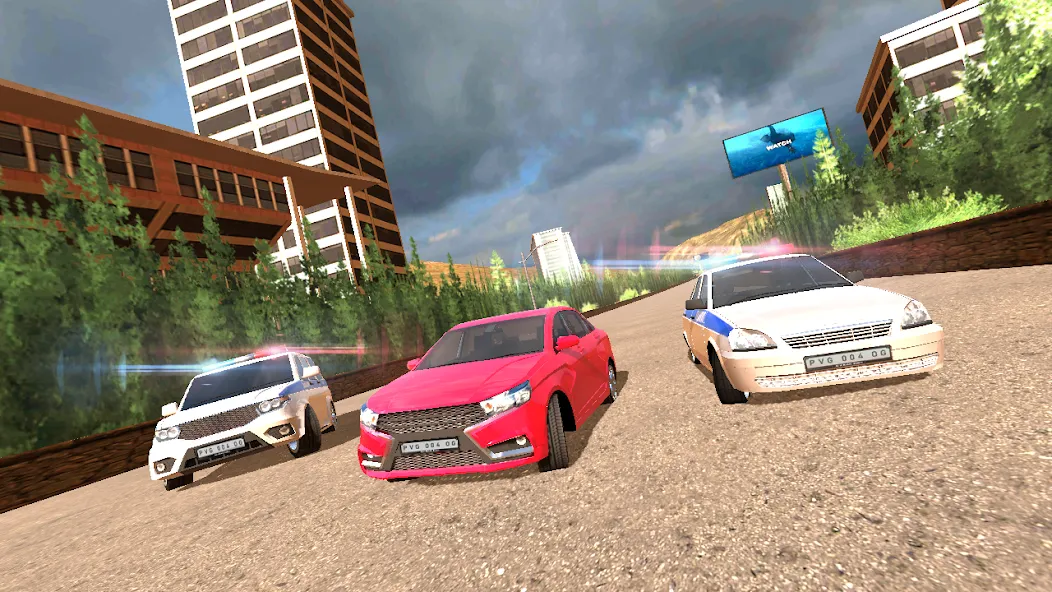 Police Car Chase [MOD: без рекламы и бесконечные деньги] на Андроид — скриншот 3