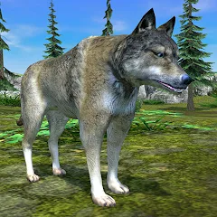 Скачать Wolf Simulator - Animal Games [MOD: безлимитные деньги и здоровье] на телефон