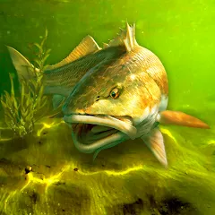 Скачать My Fishing World [MOD: безлимитные деньги и ресурсы]