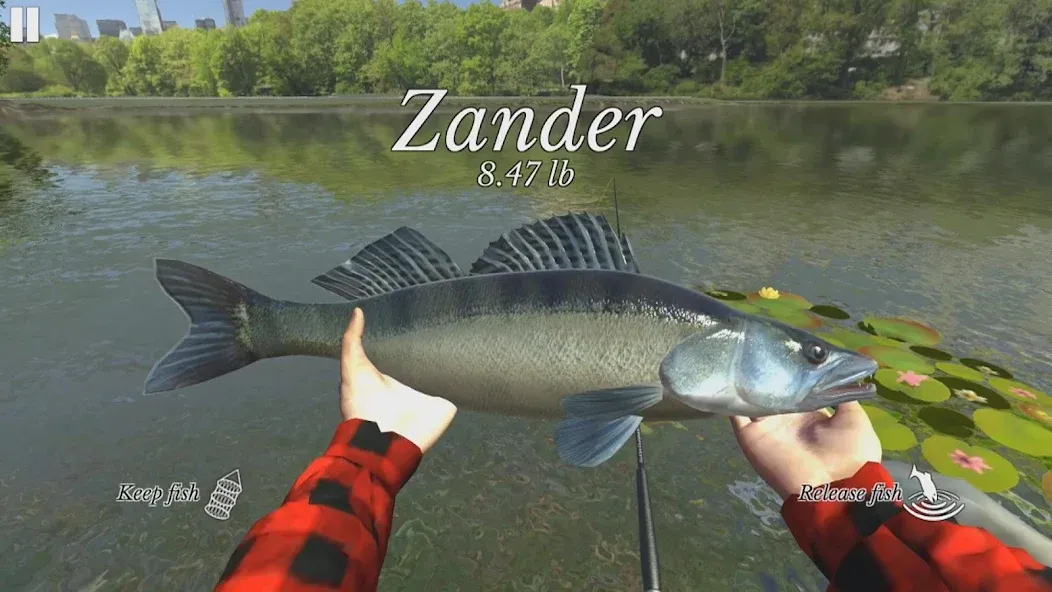 Взломанная Ultimate Fishing Simulator [MOD: много денег и разблокированы снасти] на Андроид — скриншот 2