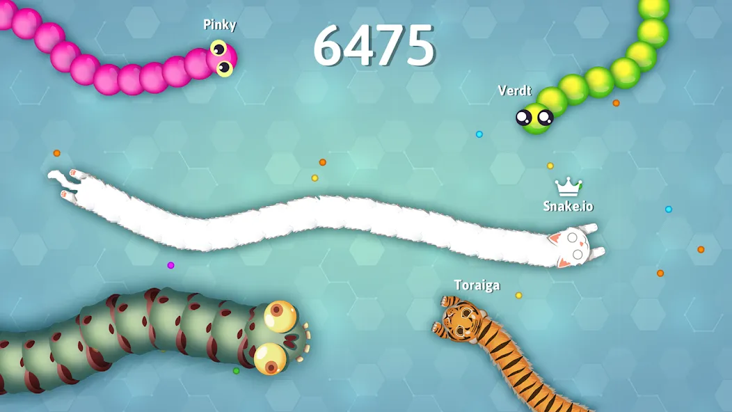 Взломанная Snake.io - Fun Snake .io Games [MOD: без рекламы и много скинов] на Андроид — скриншот 5