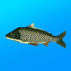 True Fishing. Simulator [MOD: безлимитные деньги и ресурсов] — Скачать бесплатно (APK)