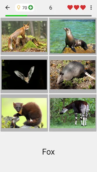 Взломанная Animals Quiz Learn All Mammals [MOD: все млекопитающие разблокированы] на Андроид — скриншот 2