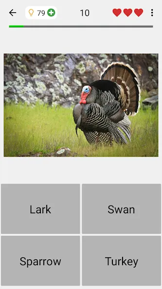 Взломанная Animals Quiz Learn All Mammals [MOD: все млекопитающие разблокированы] на Андроид — скриншот 4