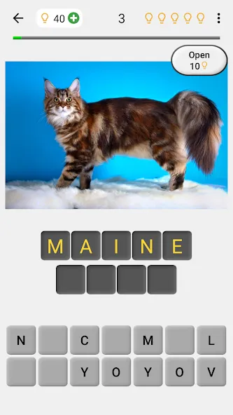 Скачать Cats Quiz Guess Popular Breeds [MOD: открыты все породы и подсказки] — скриншот 1