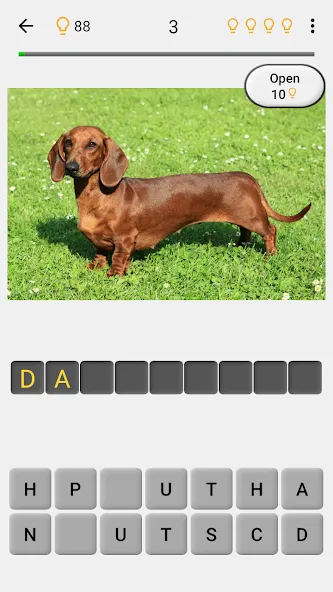 Dogs Quiz - Guess All Breeds! [MOD: все породы собак разблокированы] на Андроид — скриншот 2