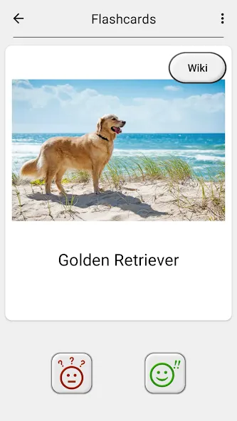 Dogs Quiz - Guess All Breeds! [MOD: все породы собак разблокированы] на Андроид — скриншот 5