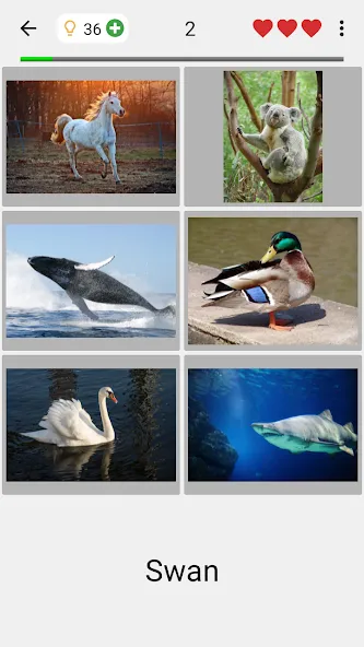 Скачать Guess Pictures and Words Quiz [MOD: открыты все уровни и подсказки] — скриншот 2