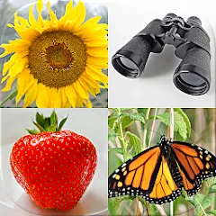 Скачать Guess Pictures and Words Quiz [MOD: открыты все уровни и подсказки]