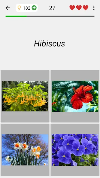 Flowers Quiz - Identify Plants [MOD: все растения разблокированы] — Скачать бесплатно (APK) — скриншот 4