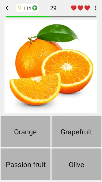 Fruit and Vegetables - Quiz [MOD: открыты все уровни и подсказки] (Бесплатно / APK) — скриншот 4