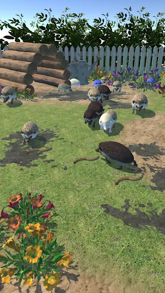 Hedgehog Friends [MOD: много монет и открыты все уровни] на Андроид — скриншот 2