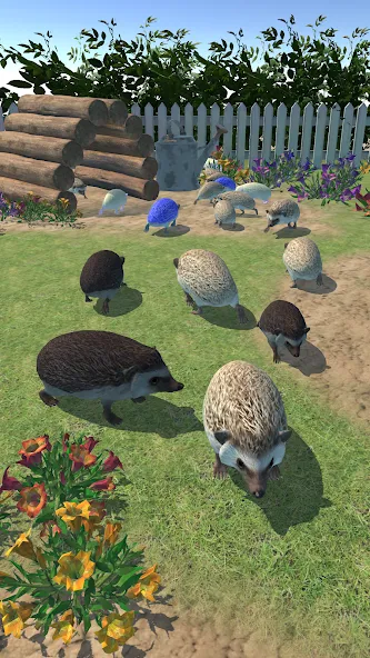 Hedgehog Friends [MOD: много монет и открыты все уровни] на Андроид — скриншот 3