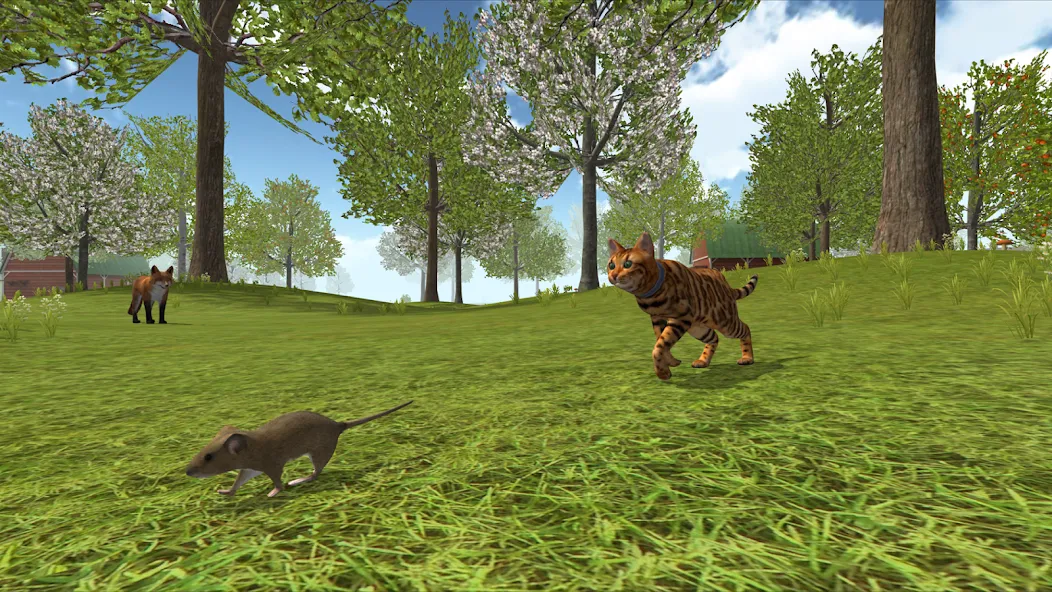 Скачать Cat Simulator : Kitties Family [MOD: много котят и безлимитные монеты] на телефон — скриншот 4