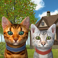 Скачать Cat Simulator : Kitties Family [MOD: много котят и безлимитные монеты] на телефон