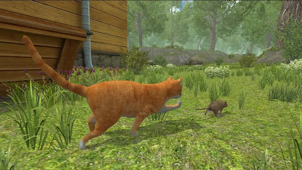 Mouse Simulator : Forest Home [MOD: без рекламы и много ресурсов] на Андроид — скриншот 3