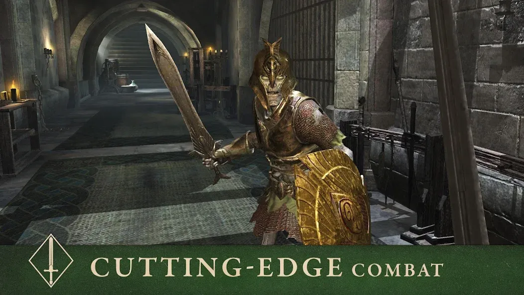 The Elder Scrolls: Blades [MOD: безлимитные деньги и ресурсы] (Бесплатно / APK) — скриншот 5