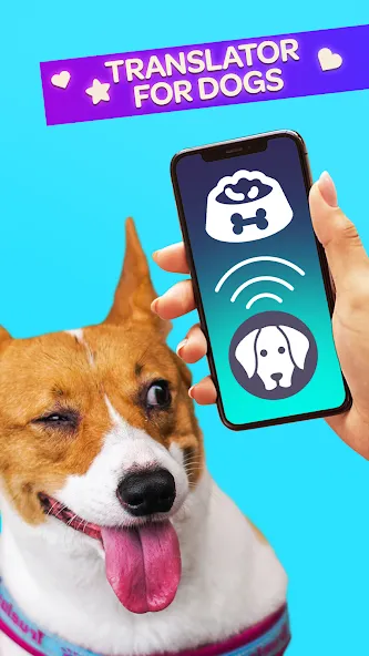 Скачать взлом Dog Translator Pet Speak Talk [MOD: разговор с питомцем без ограничений] — скриншот 1