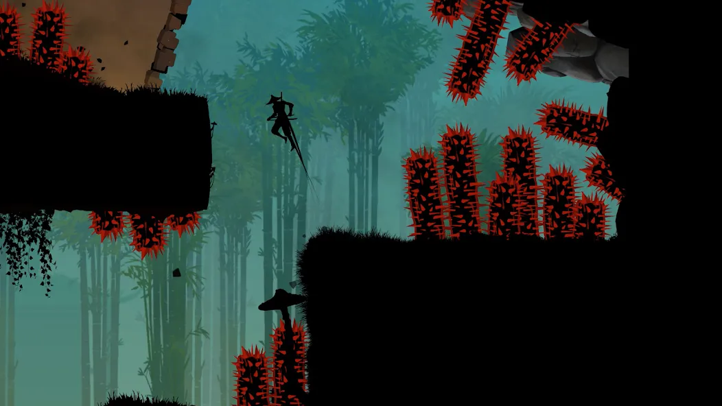 Ninja Arashi 2 [MOD: безлимитные деньги и бессмертие] (Бесплатно / APK) — скриншот 1