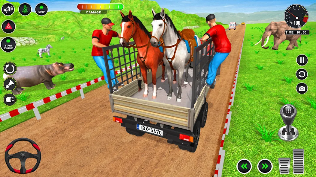 Скачать Animal Transport Truck Game 3D [MOD: безлимитные деньги и все животные открыты] на телефон — скриншот 4