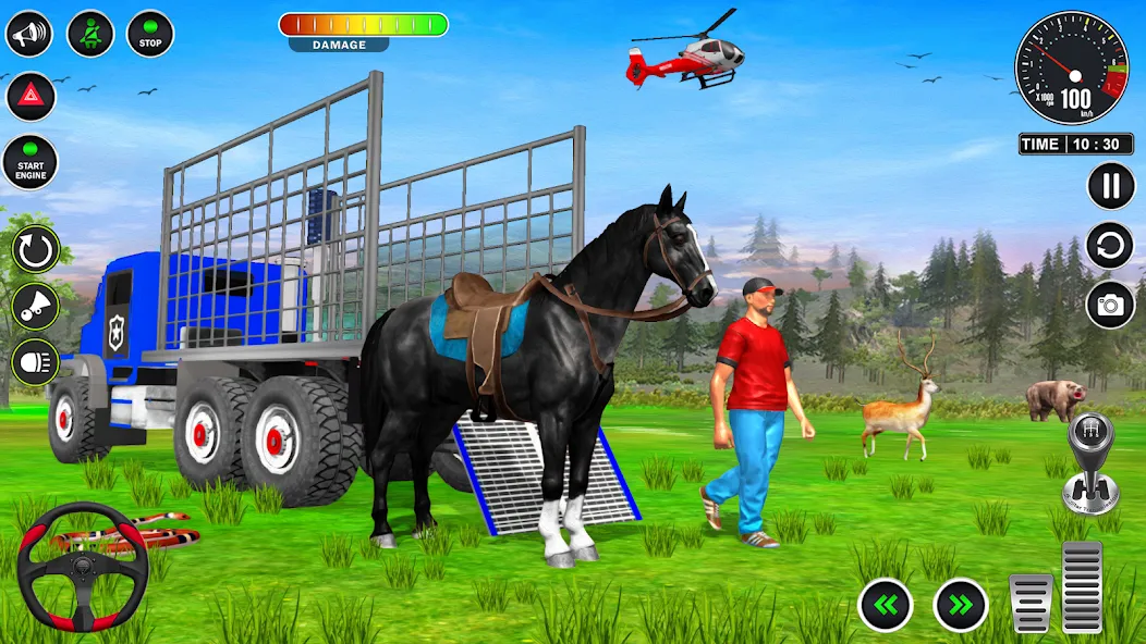Скачать Animal Transport Truck Game 3D [MOD: безлимитные деньги и все животные открыты] на телефон — скриншот 5