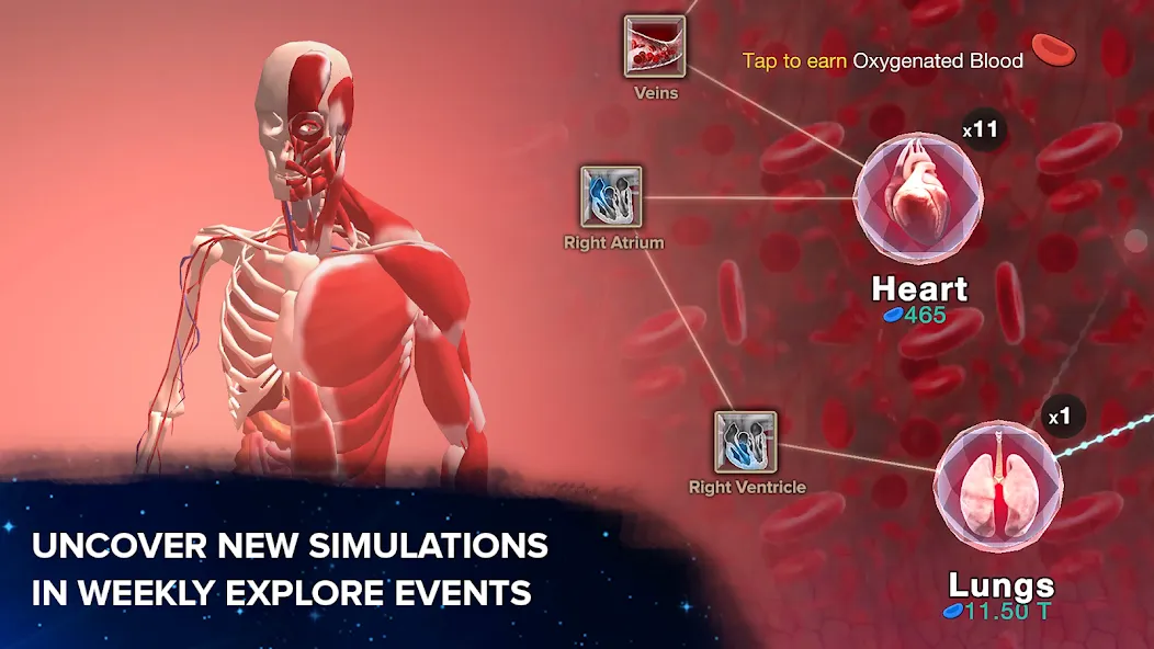 Cell to Singularity: Evolution [MOD: безлимитные ресурсы и ускоренная эволюция] (Бесплатно / APK) — скриншот 1