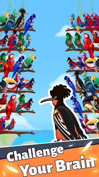 Bird Puzzle - Color Game [MOD: без рекламы и все уровни открыты] на Андроид — скриншот 2