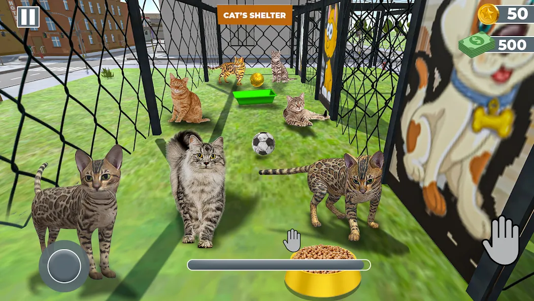 Animal Shelter: Pet Rescue 3D [MOD: безлимитные деньги и питомцы открыты] на Андроид — скриншот 2