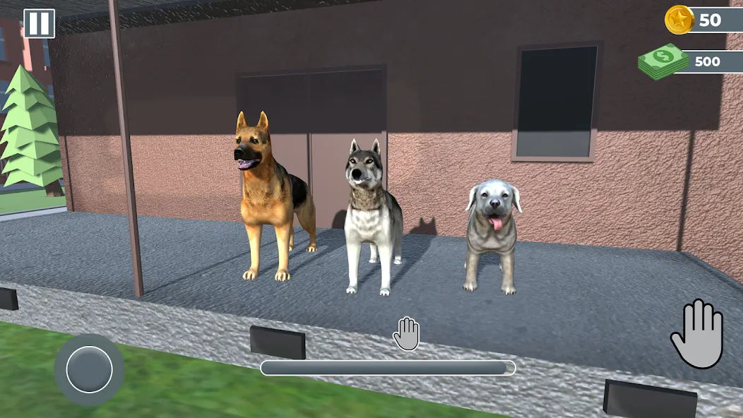 Animal Shelter: Pet Rescue 3D [MOD: безлимитные деньги и питомцы открыты] на Андроид — скриншот 3