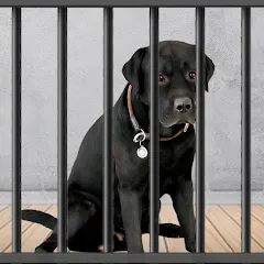 Animal Shelter: Pet Rescue 3D [MOD: безлимитные деньги и питомцы открыты] на Андроид