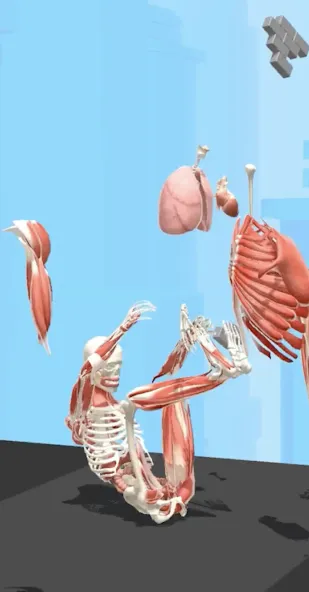 Human Run [MOD: безлимитные деньги и ускоренный бег] (Бесплатно / APK) — скриншот 2