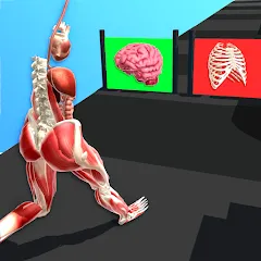Human Run [MOD: безлимитные деньги и ускоренный бег] (Бесплатно / APK)