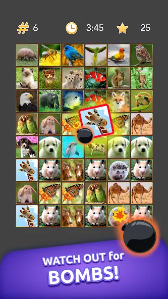 Скачать взлом Onnect - Pair Matching Puzzle [MOD: подсказки доступны без ограничений] — скриншот 5