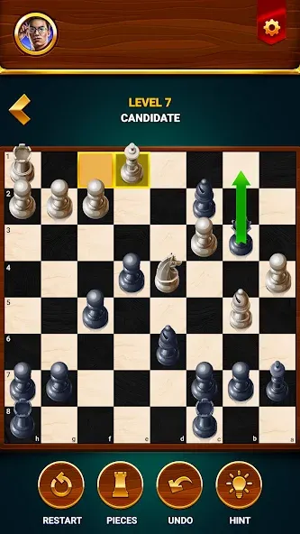 Chess - Offline Board Game [MOD: без рекламы и подсказки доступны] на Андроид — скриншот 5