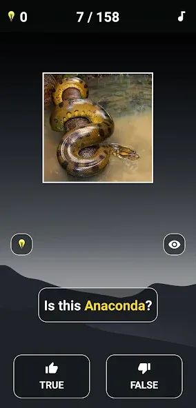 Animal Quiz: Guess the Animal [MOD: все животные разблокированы и подсказки бесконечны] последняя версия — скриншот 3
