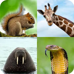 Animal Quiz: Guess the Animal [MOD: все животные разблокированы и подсказки бесконечны] последняя версия