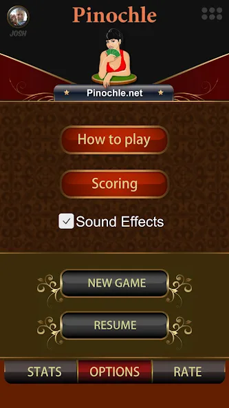 Pinochle.Net [MOD: разблокированы все функции и карты] на Андроид — скриншот 2