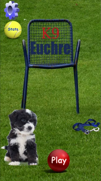 Скачать K9 Euchre [MOD: безлимитные подсказки и быстрый прогресс] на телефон — скриншот 1