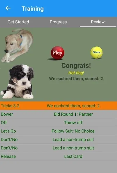 Скачать K9 Euchre [MOD: безлимитные подсказки и быстрый прогресс] на телефон — скриншот 3