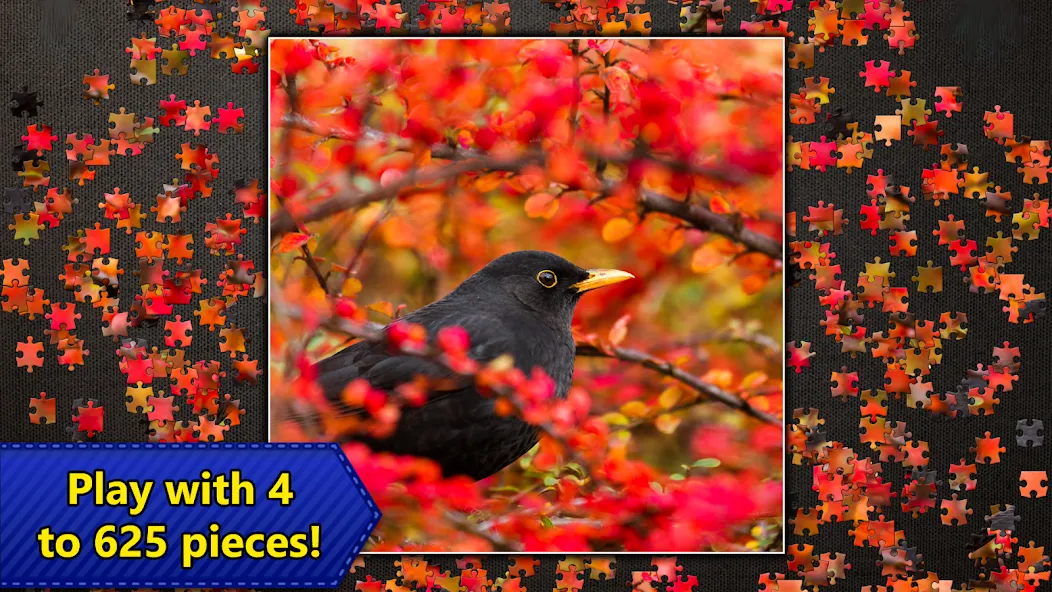 Jigsaw Puzzles Epic [MOD: безлимитные подсказки и монеты] — Скачать бесплатно (APK) — скриншот 5