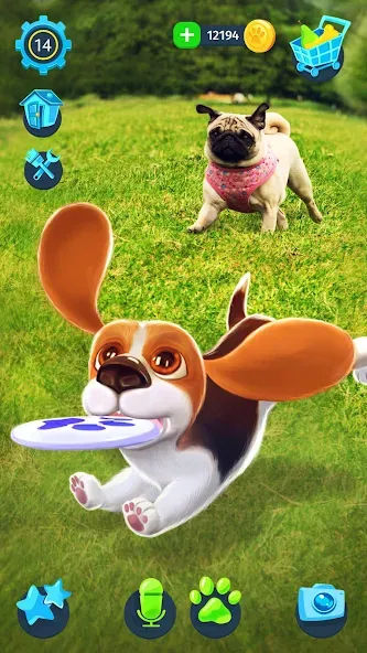 Tamadog - Puppy Pet Dog Games [MOD: безлимитные монеты и все питомцы] последняя версия — скриншот 3