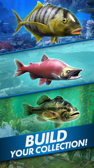 Ultimate Fishing! Fish Game [MOD: безлимитные деньги и приманки] последняя версия — скриншот 5
