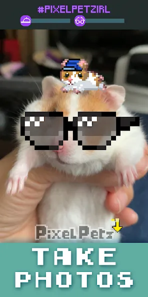 Pixel Petz [MOD: много монет и ресурсов] на Андроид — скриншот 4