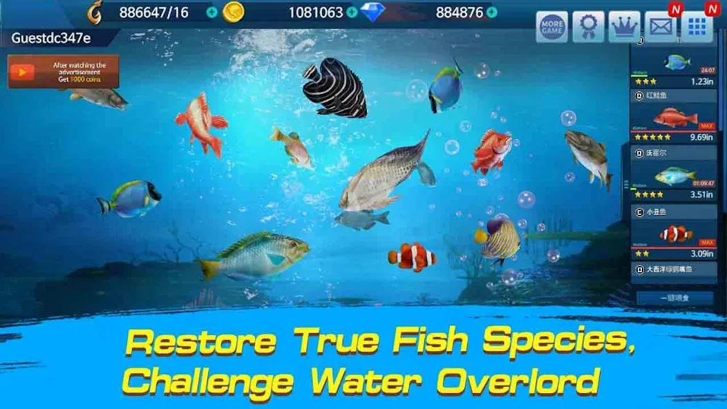 Скачать Fishing Championship [MOD: безлимитные монеты и энергии] на телефон — скриншот 2