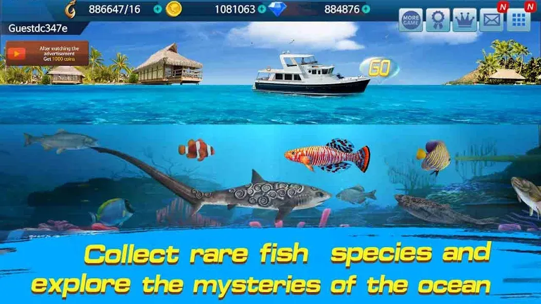 Скачать Fishing Championship [MOD: безлимитные монеты и энергии] на телефон — скриншот 3
